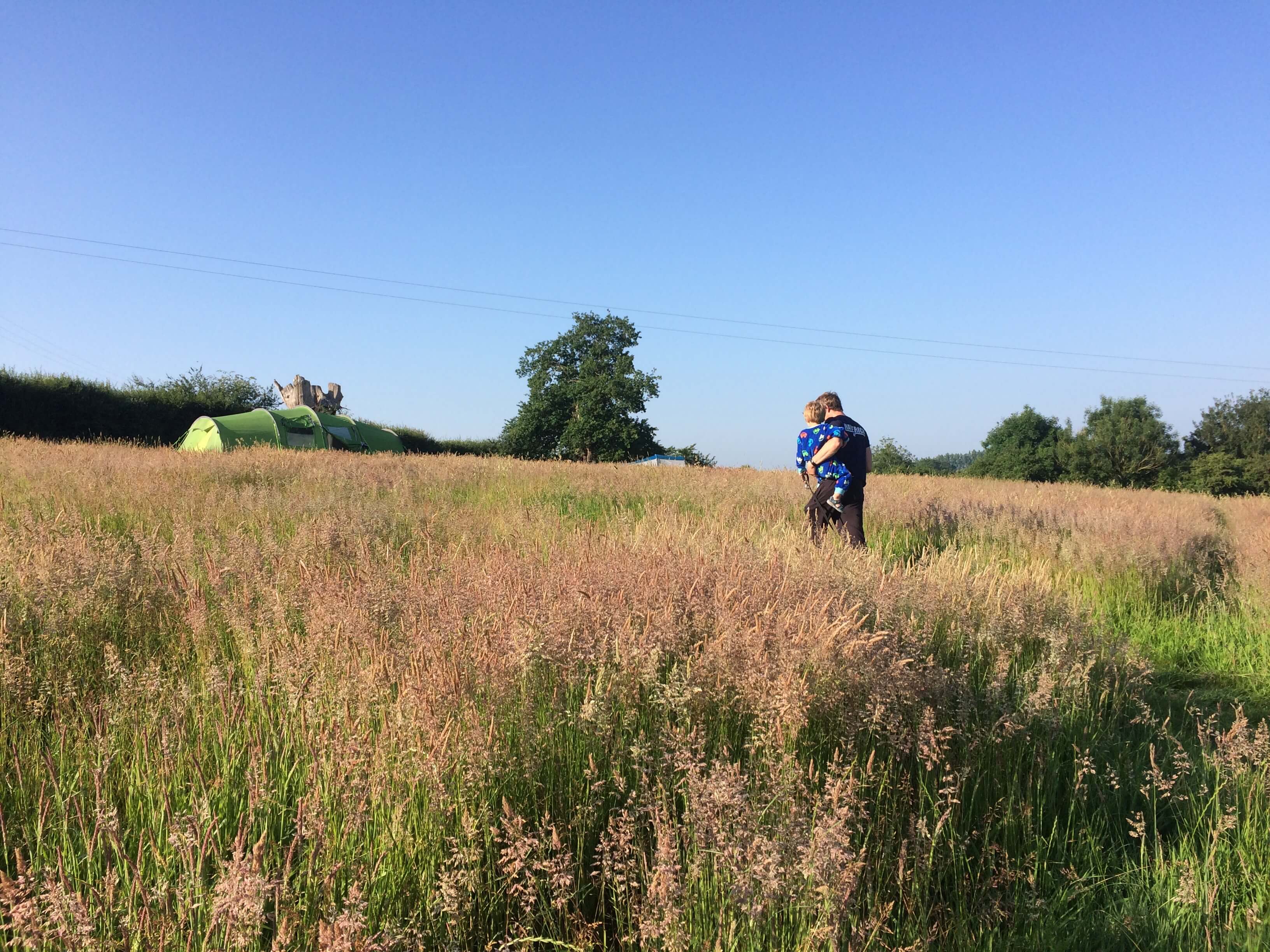 Birds and Bees Campsite — photo 8
